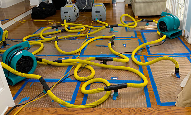 Professional Basement Flood Cleanup technician working in Morristown, AZ
